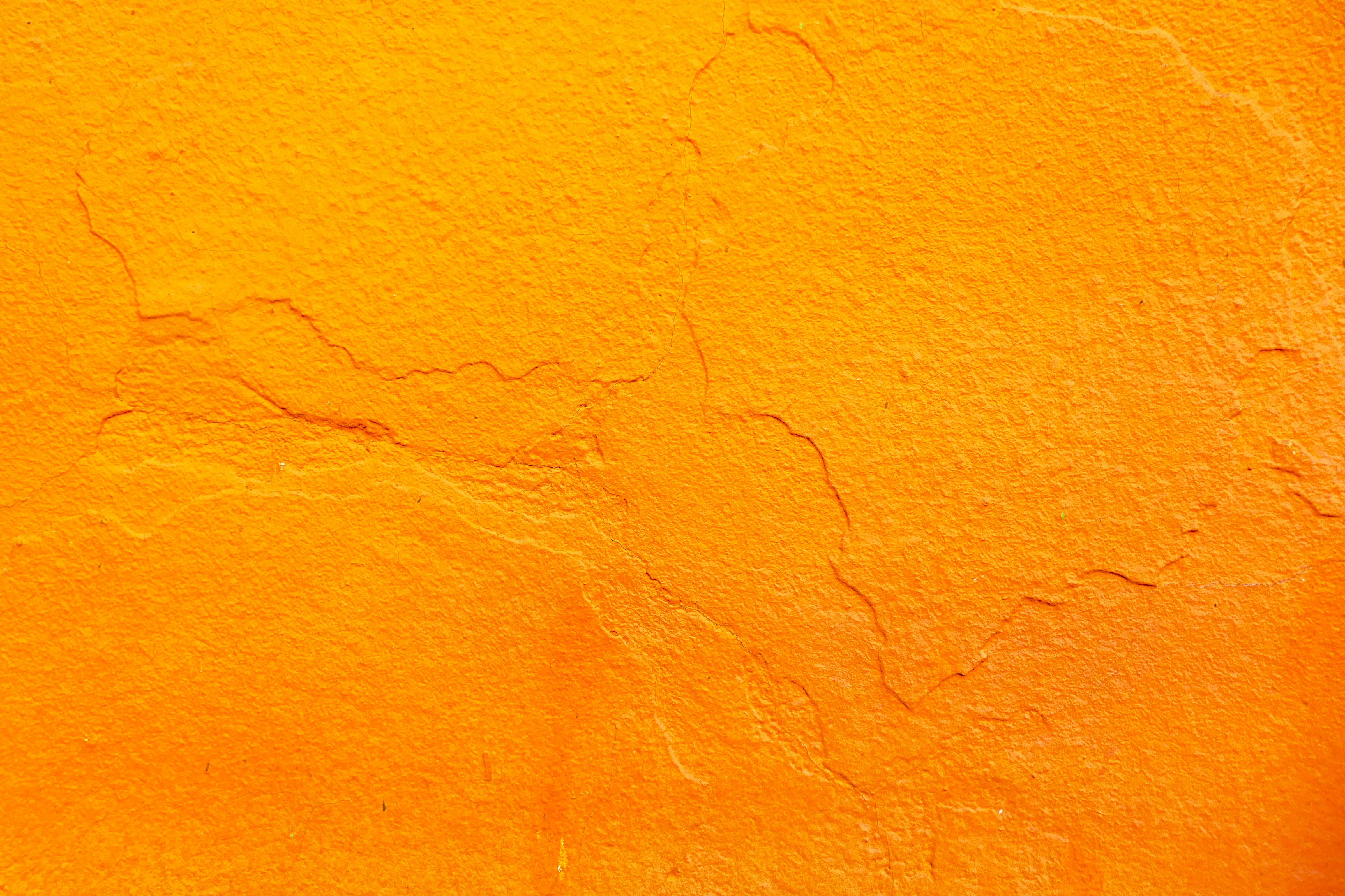 First-Image